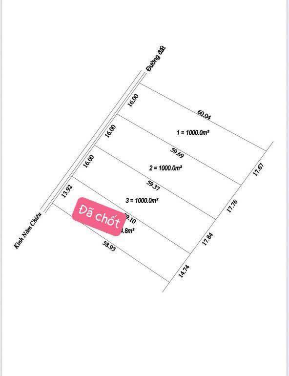 Đất nền 1000m² Thới Hòa, Trà Ôn giá chỉ 160 triệu - Đầu tư sinh lời ngay!