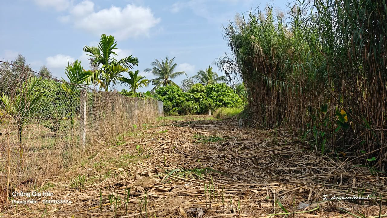 Đất nền Nhơn Nghĩa Phong Điền 134m² giá 780 triệu - Sổ hồng công chứng ngay!