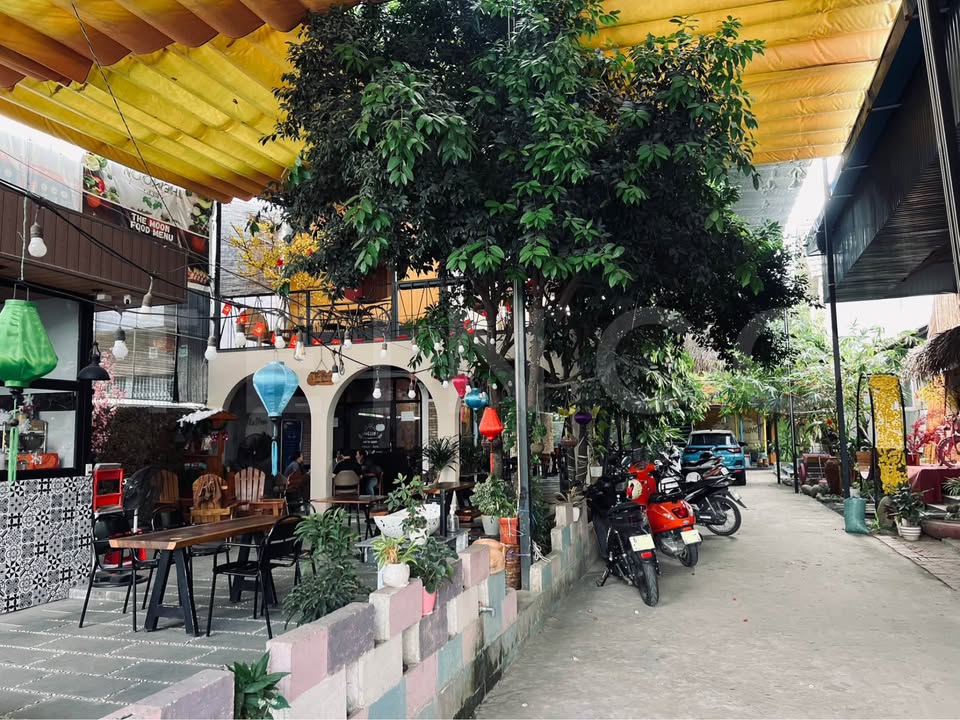 Cho thuê quán cà phê 500m² mặt tiền Quốc Lộ 91 - Vận hành ngay!