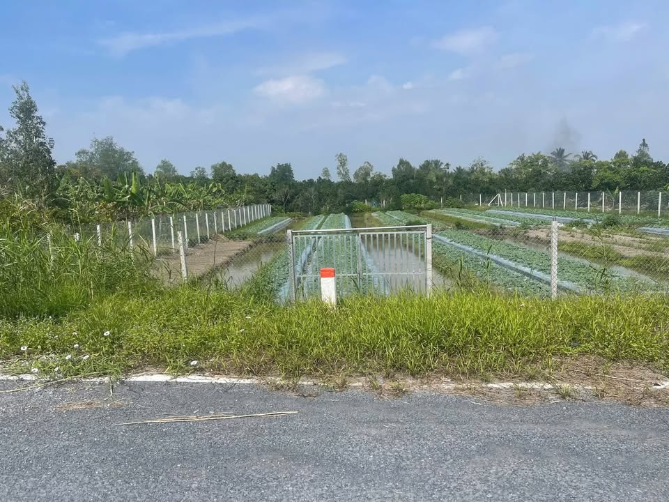 Đất nền 1024m² Lộ 3B, Thị Trấn Ngã Sáu, giá 2.5 tỷ - Tiềm năng phát triển mạnh mẽ!