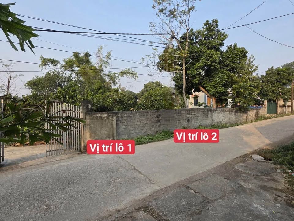 Đất nền Phú Nghĩa 98m² giá 3 tỷ - Đầu tư sinh lời ngay!