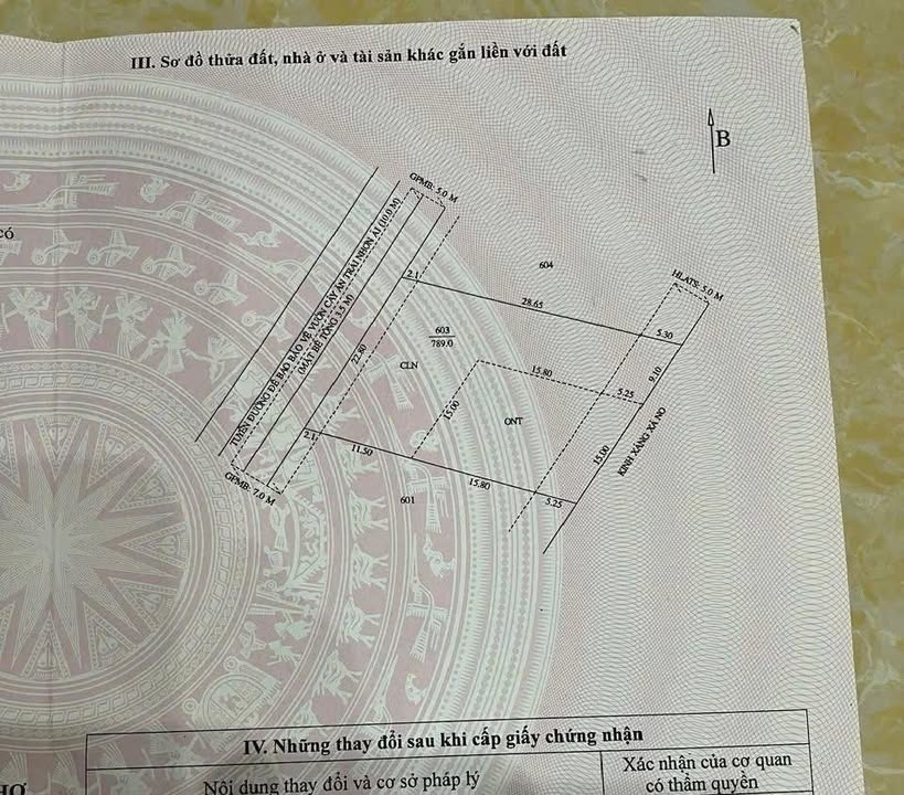 Đất nền dự án 789m² tại lộ đê bao Nhơn Ái - Sổ hồng sẵn, giá chỉ 2.999 tỷ!