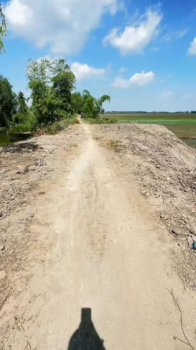 Đất nông nghiệp 30 công tại Tràm Chim, Đồng Tháp giá chỉ 130 triệu - Cơ hội đầu tư tuyệt vời!