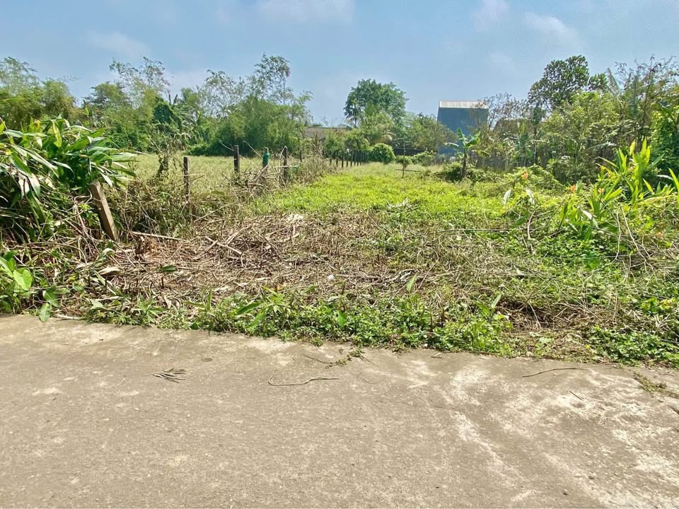 Đất nền Phường Dương Nỗ TP Huế 80m² giá chỉ 800 triệu - Đầu tư sinh lời ngay!