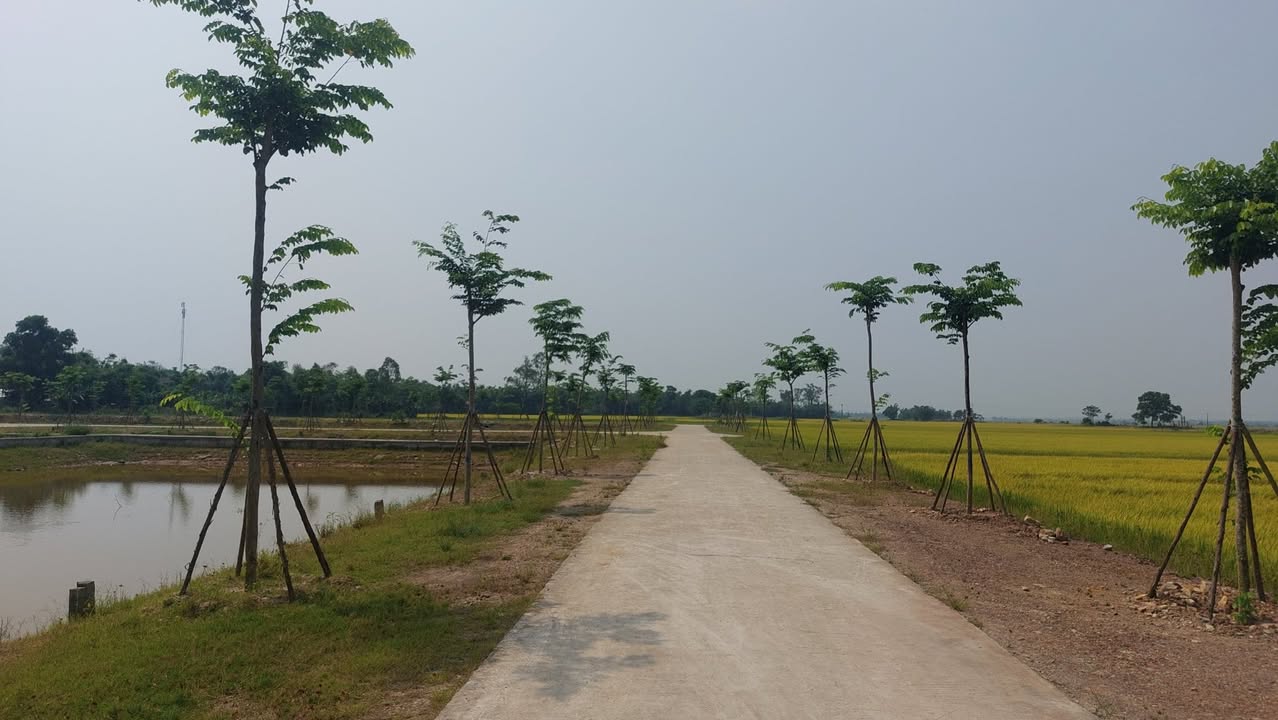 Đất nền KQH Phú Lương Đông B, TP Huế 180m² giá 800 triệu - Vị trí đẹp, tiềm năng cao!