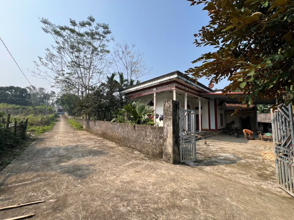 Đất nền Xóm Bần, Võ Miếu 243m² - Vị trí đẹp, an ninh tốt!