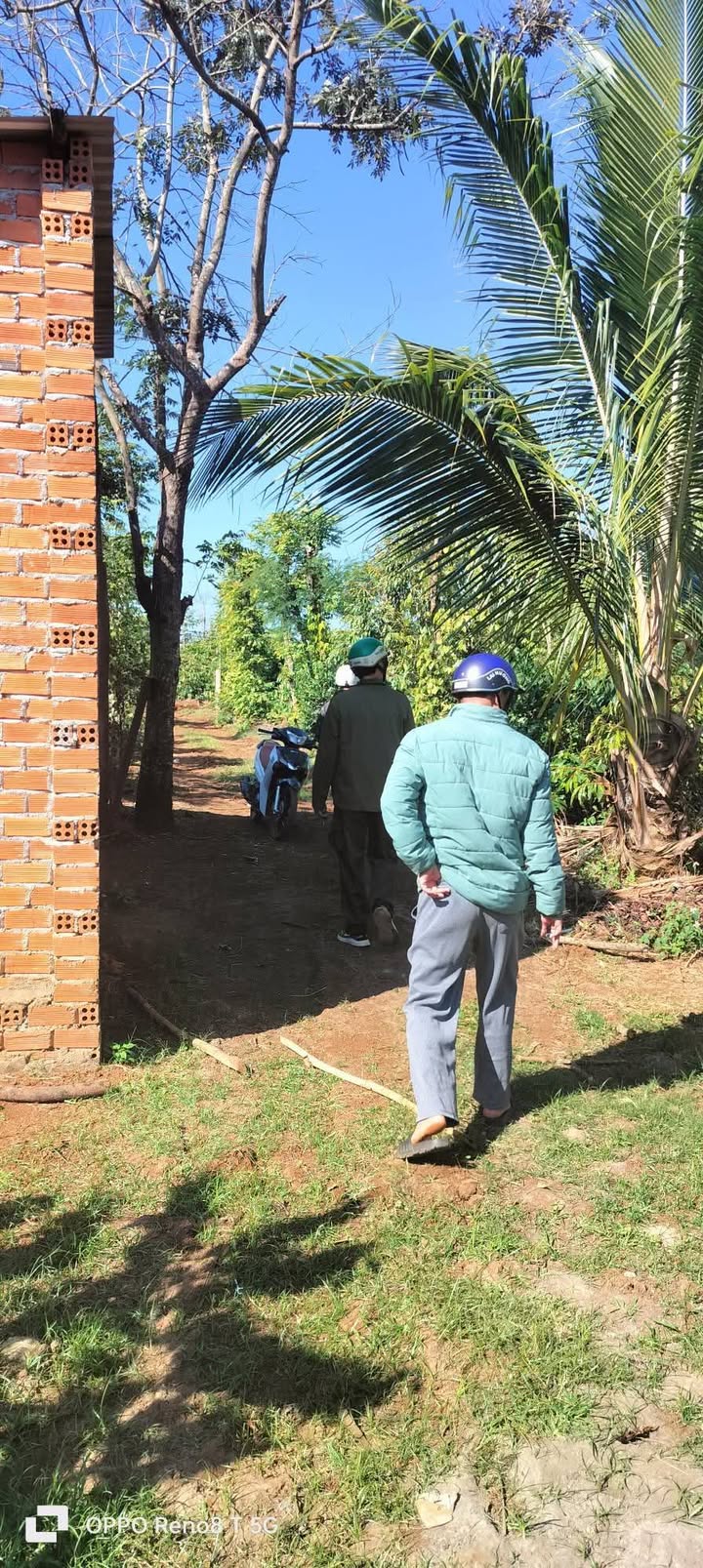 Farm 7900m² tại Hòa Lễ, Đắk Lắk - Sổ đỏ chính chủ, giá 2.66 tỷ - Đầu tư sinh lời!