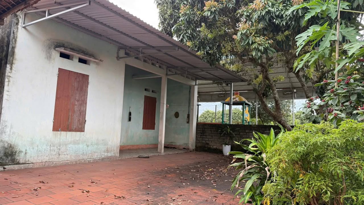 Đất vườn Hồng Lạc 800m² giá 1,6 tỷ - Sẵn sàng vào ở ngay!