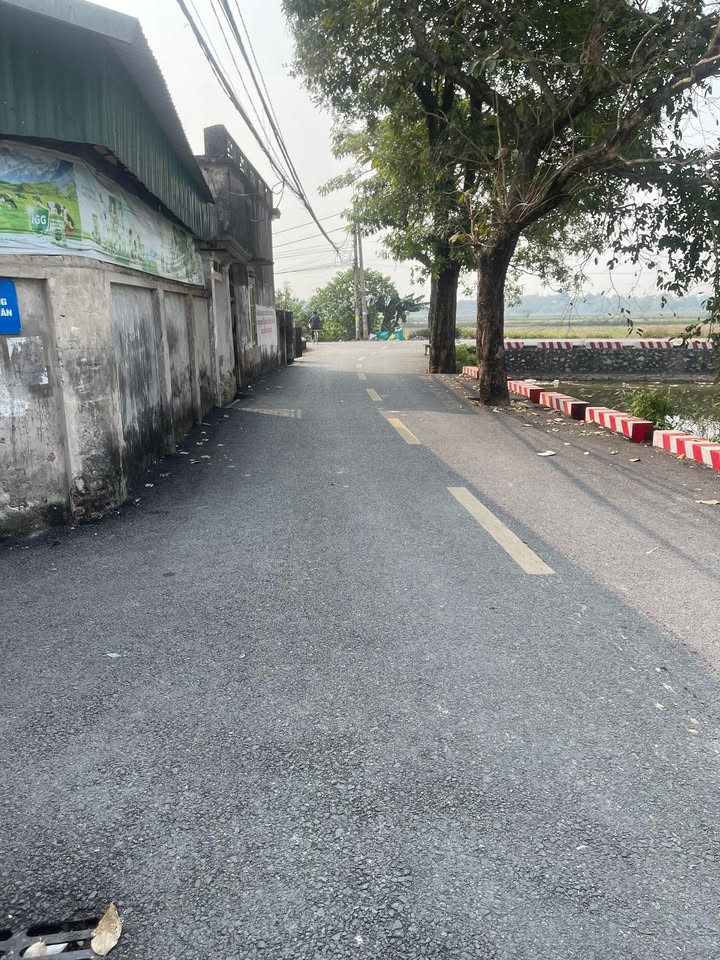 Đất nền Vin Olympic, Dương Tảo, 43.8m² - Vị trí đắc địa, giá tốt chỉ 3 tỷ!