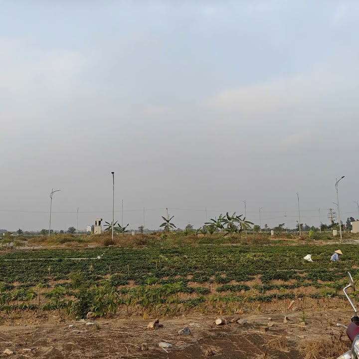 Đất nền xã Phan Sào Nam, Huyện Phù Cừ, 120m² giá 2 tỷ - Cơ hội đầu tư lý tưởng!