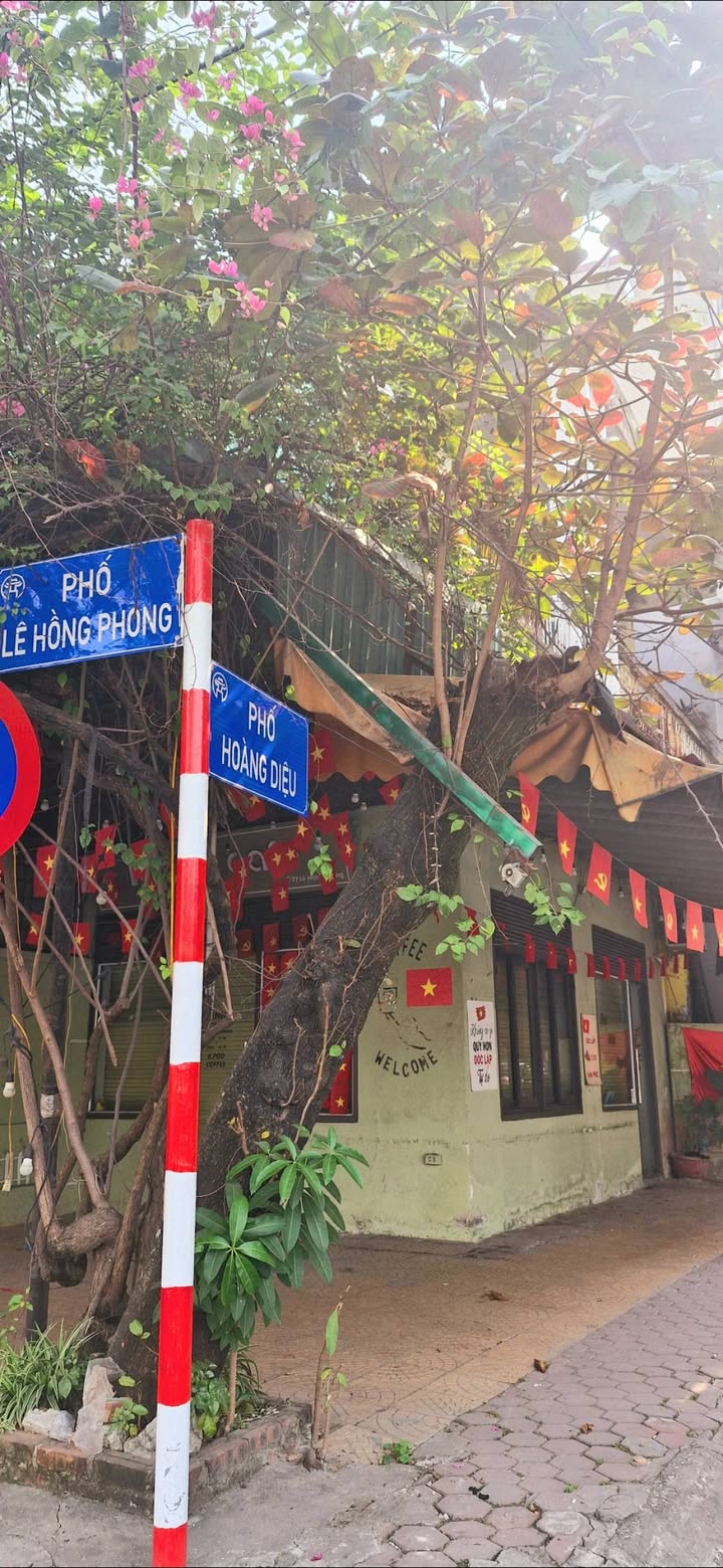 Nhà riêng Hoàng Diệu, Hà Đông 55m² giá 12,x tỷ - Ô tô đỗ cửa, vị trí đắc địa!