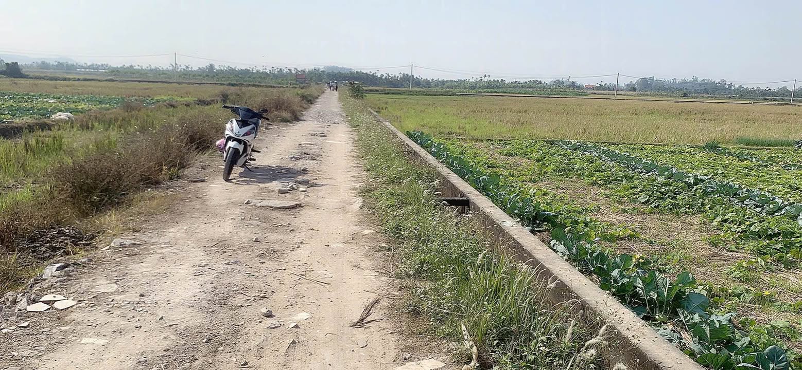 Đất thổ cư 1.921m² Phường Lưu Kiếm - Thủy Nguyên giá 580 triệu - Đầu tư sinh lời ngay!