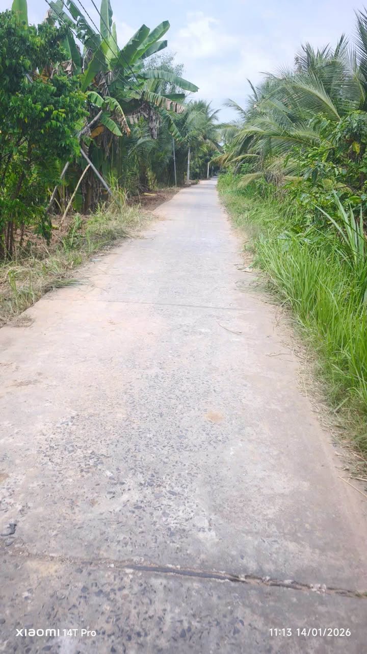 Đất nền biệt thự Phường Phú Tân 300m² giá 450 triệu - Cơ hội đầu tư sinh lời!