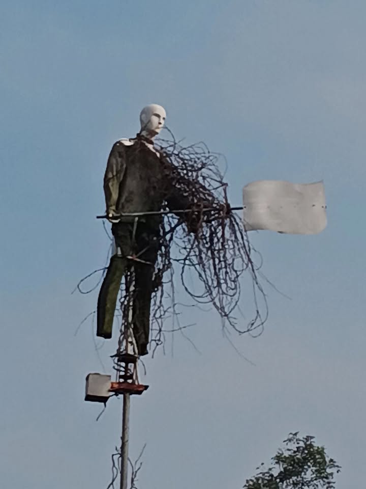 Đất vườn 1,2 sào tại ấp 5 Vĩnh Tân, Đồng Nai - Giá chỉ 800 triệu