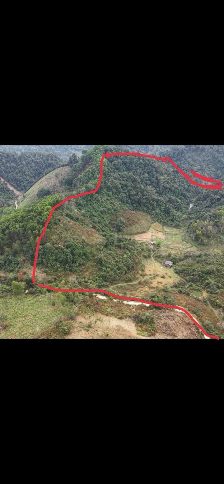 Bán đất rừng sản xuất 13ha và 1ha đất BHK tại Na Rì, Bắc Kạn - Chính chủ, giá thỏa thuận!