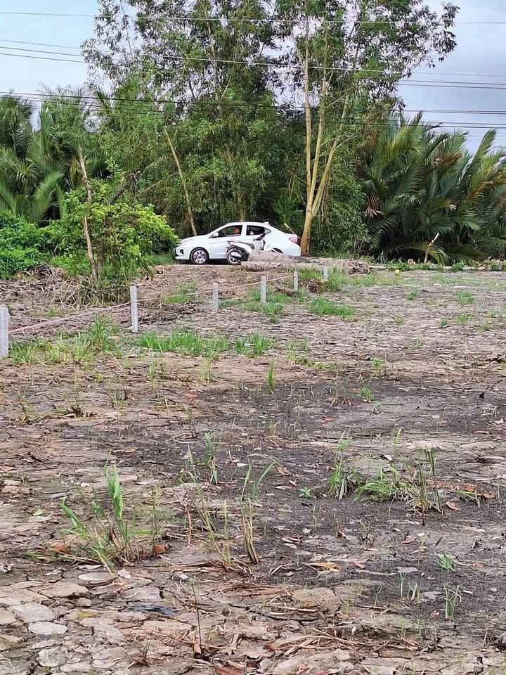 Đất Farm 5800m² tại Giục Tượng, Châu Thành - Giá chỉ 1.54 tỷ, Không gian thoáng đãng!