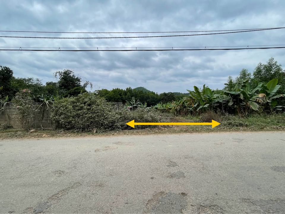 Đất nền Phường Chùa Hang 150m² giá 1.6 tỷ - Mặt bằng xây dựng ngay!