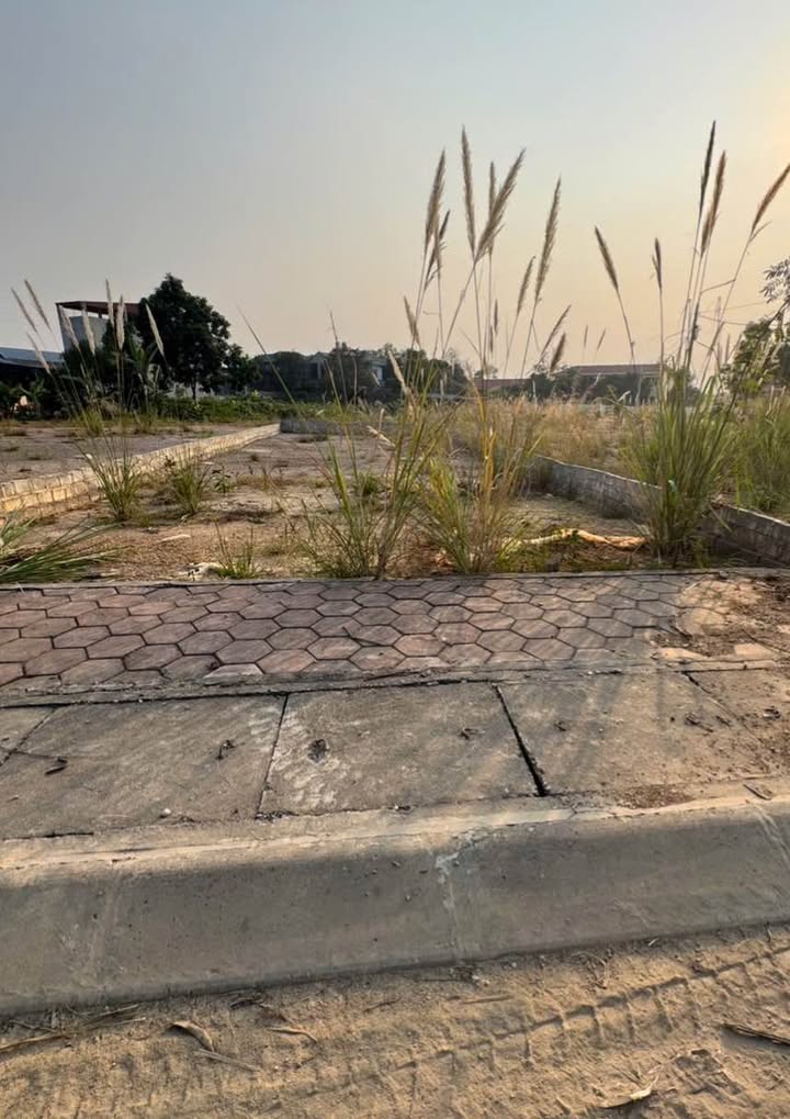 Lô đất biệt thự KDC 12 Tam Quan 200m² giá 6 tỷ - Sổ hồng đầy đủ, đầu tư sinh lời!