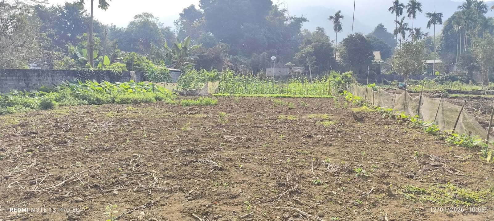 Đất thổ cư 558m² Liên Hòa - Hợp Hòa giá chỉ hơn 2 tỷ - Đầu tư sinh lời ngay!