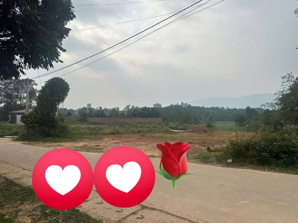 Đất thổ cư 60m² tại Đô Lương - Sóc Sơn, giá 5.3 tỷ - Sổ đỏ chính chủ, ô tô tránh