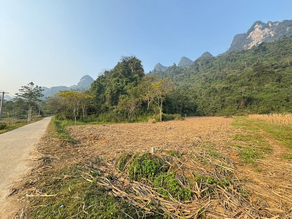 Đất nền Bản Mán, Quản Bạ, 3000m² giá chỉ 500 triệu - Đầu tư lý tưởng cho nghỉ dưỡng!