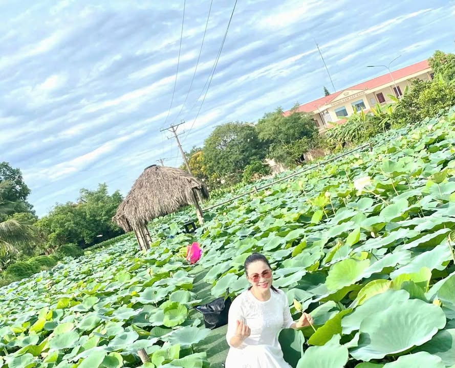 Đất nền phố 3 Quảng Cát, 88m² giá 830 triệu - Đầu tư sinh lời ngay!