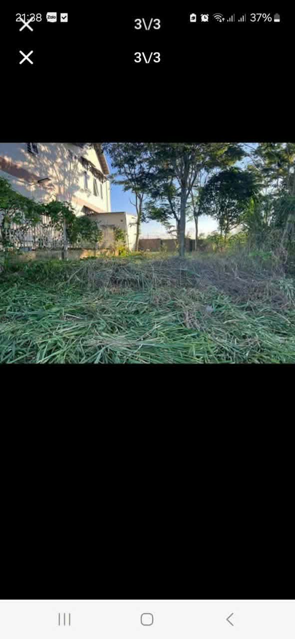 Đất nền mặt tiền Nguyễn Tri Phương, Bảo Lộc 131m² giá chỉ 3.3 tỷ - Đầu tư sinh lời!