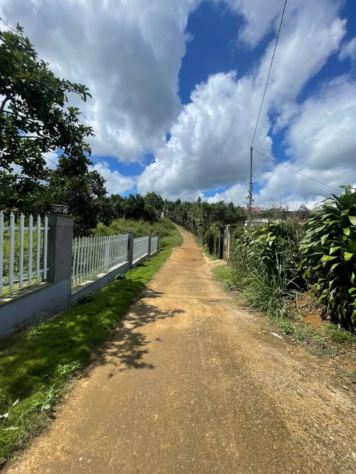 Đất thổ cư 3300m² tại Huyện Bảo Lâm - Cơ hội đầu tư tốt với giá 4.5 tỷ!