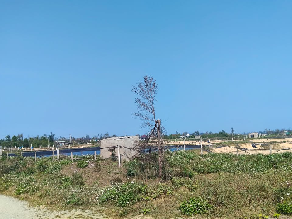 Đất nuôi tôm 31.000m² tại thôn Bắc Hòa, xã Yên Hòa - Pháp lý rõ ràng, giá thỏa thuận!