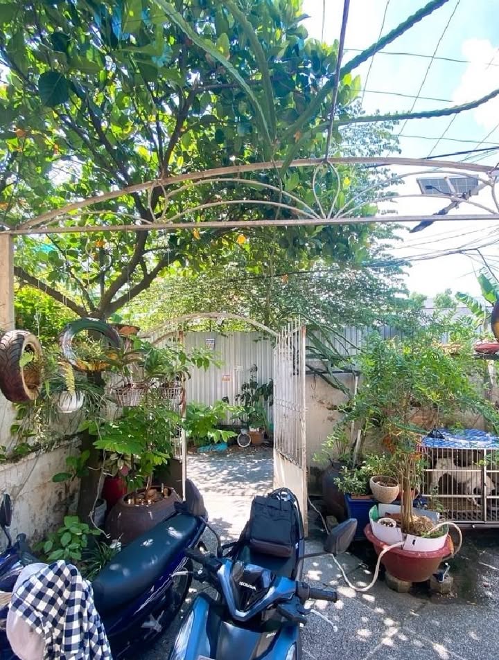 Nhà Lê Văn Lương Nhà Bè 94m² giá 6 tỷ - Sân vườn thoáng mát, chính chủ!