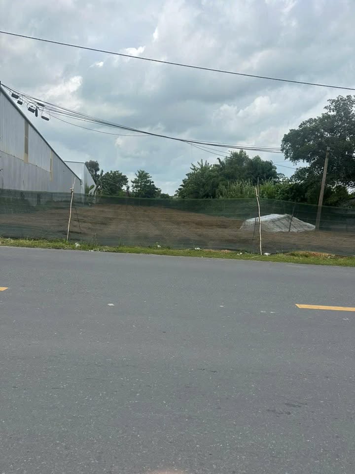 Đất nền Quốc lộ 54, Xã Tân Thành, Huyện Lai Vung, 1471m² chỉ 7 tỷ - Cơ hội đầu tư tuyệt vời!