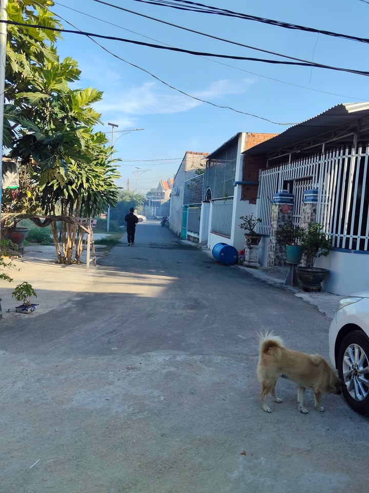 Đất Thổ Cư Thị Trấn Diên Khánh 151m² giá 1.4 tỷ - Hướng Đông Nam, gần chợ và trường học!