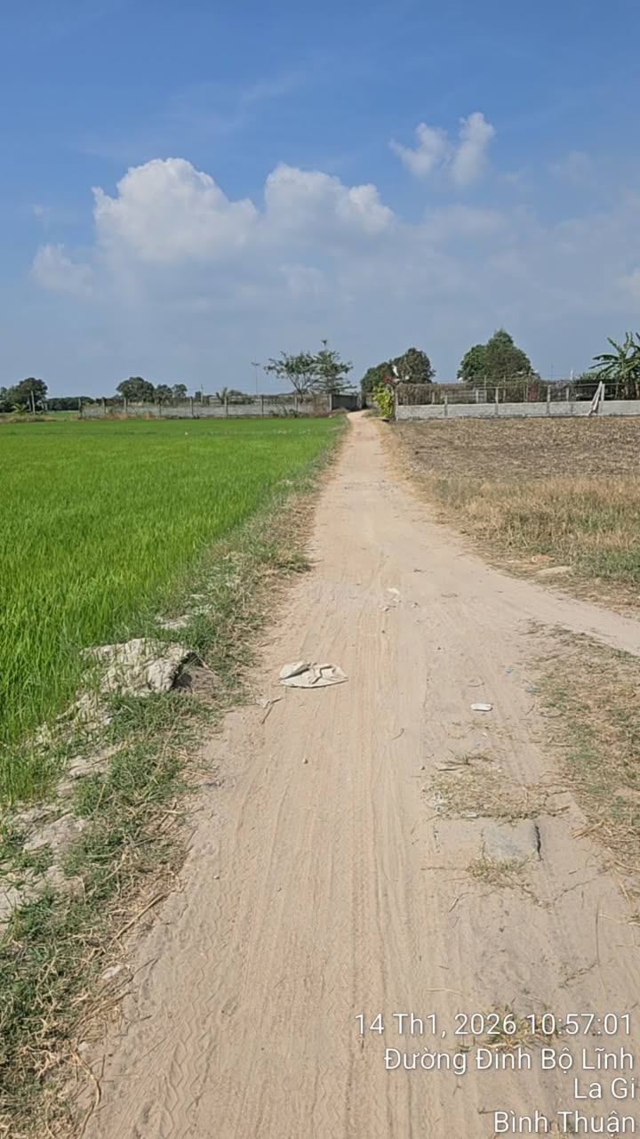 Đất nông nghiệp 7200m² tại Phường Phước Hội, La Gi, chỉ 800 triệu - Cơ hội đầu tư tuyệt vời!