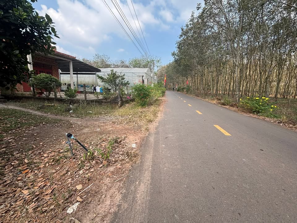Đất nền chính chủ 1,2ha mặt tiền đường nhựa thông, giá 10 tỷ - Cơ hội đầu tư hấp dẫn!
