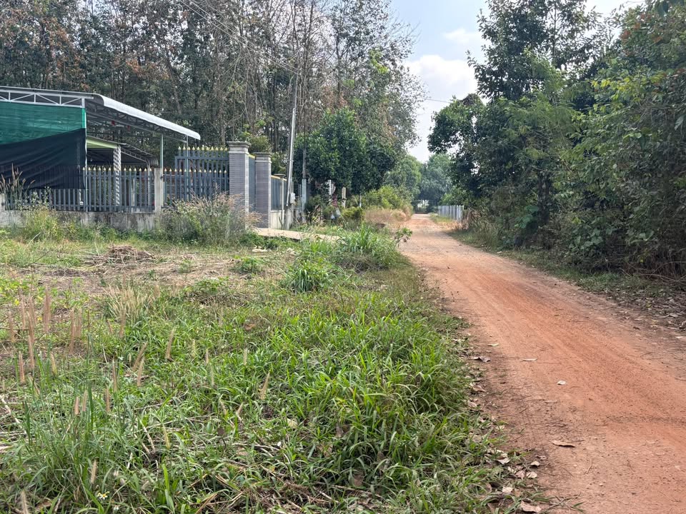 FrontHouse Đường Đỏ Thông AB 24, Dĩ An 400m² giá 3.9 tỷ - Đầu tư sinh lời ngay!