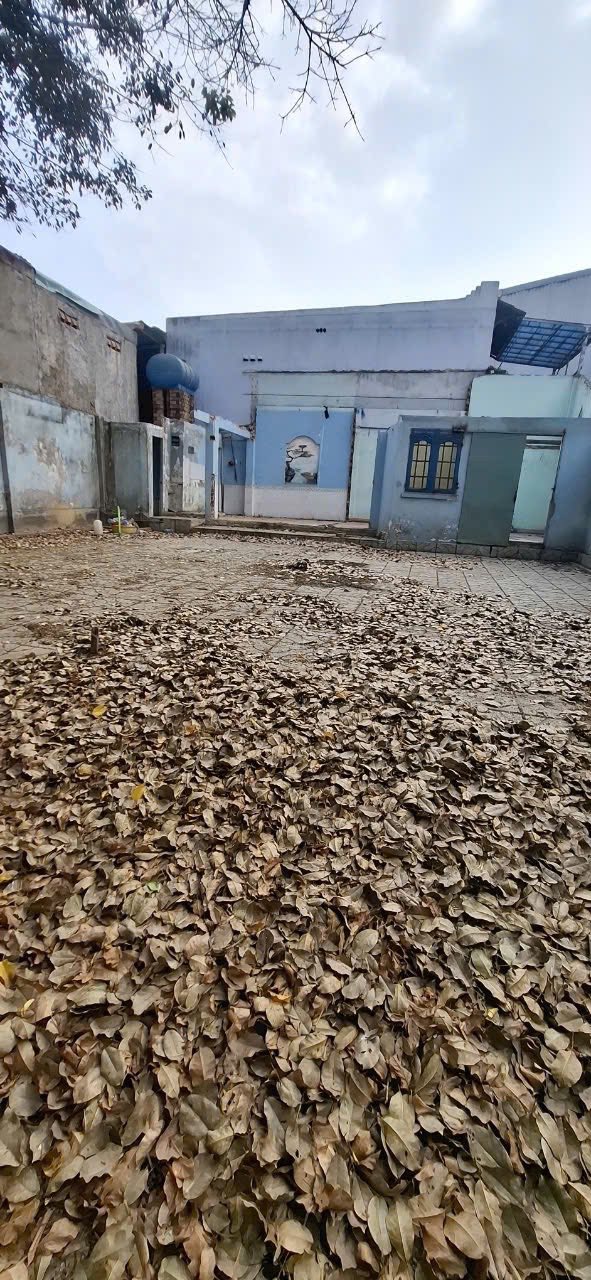 Đất góc đường Cây Da, Tân Tạo, 168m² giá 6.216 tỷ - Đầu tư lý tưởng!