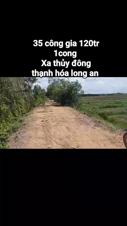 Đất nền 35 công Thạnh Hóa Long An chỉ 120 triệu - Cơ hội đầu tư tuyệt vời!