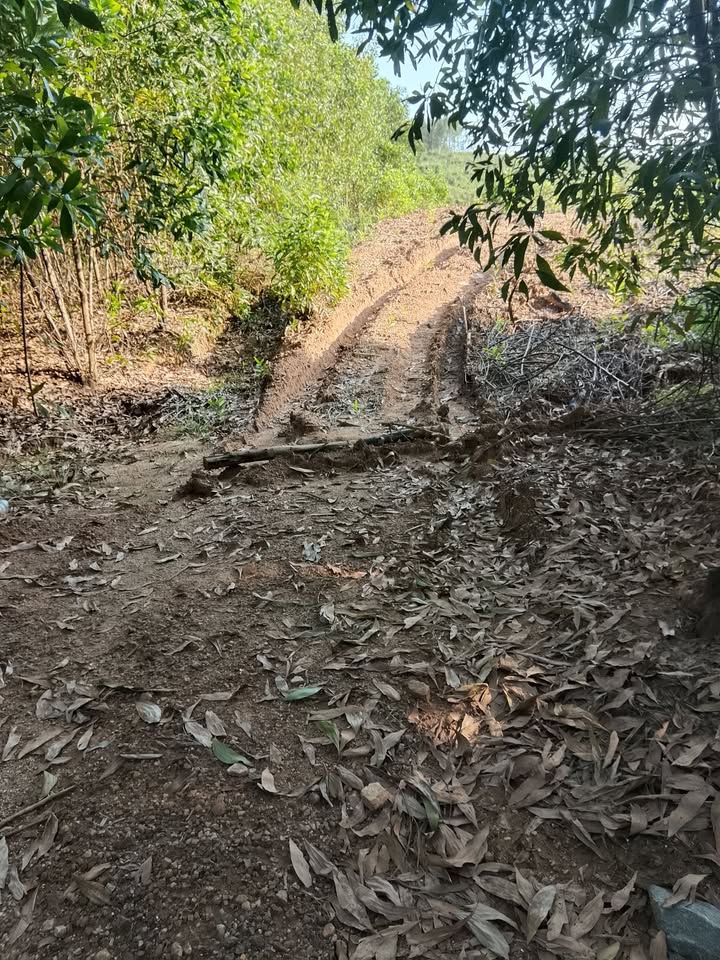 Đất nông nghiệp 24 sào tại Bình Thanh, giá chỉ 3.6 tỷ - Cần bán gấp!