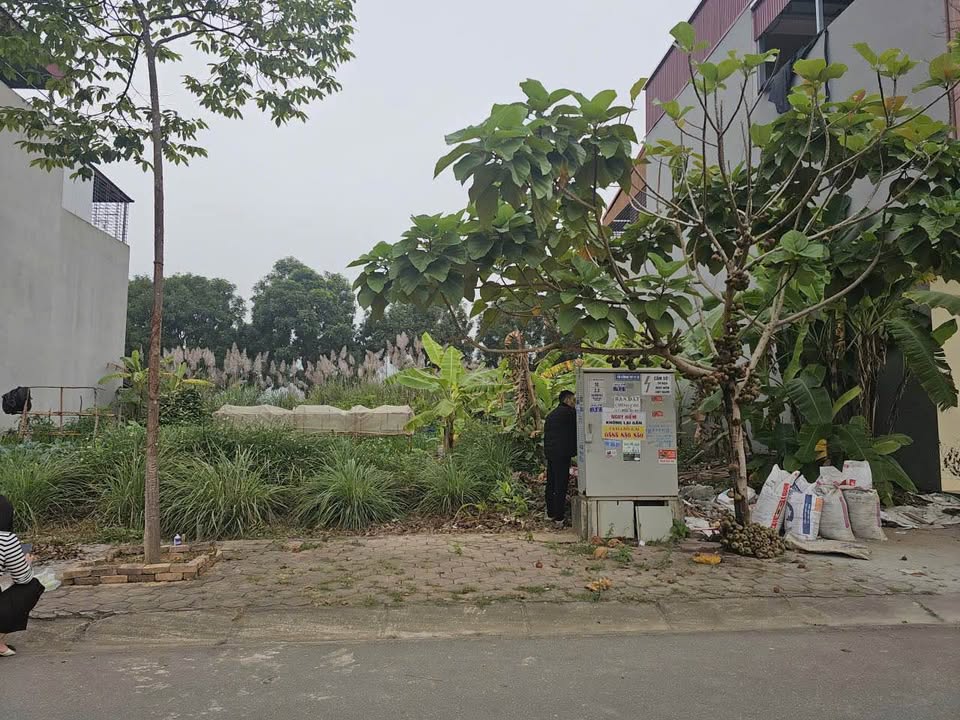 Đất nền Cam Đường 100m² giá 1.55 tỷ - Vị trí trung tâm thuận lợi!