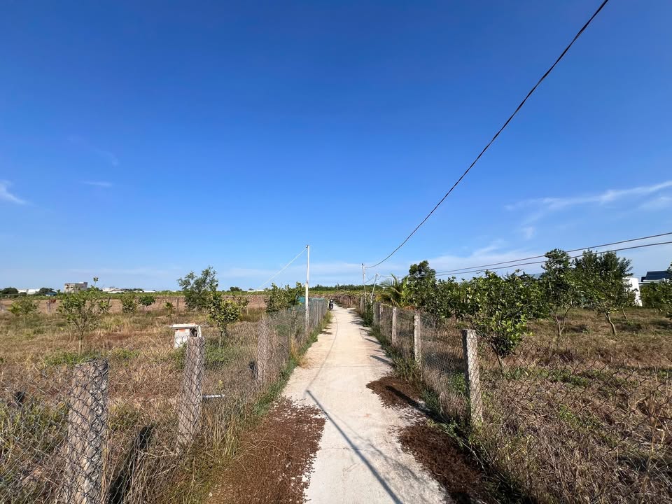 Bán lô đất cây lâu năm thôn Xuân Điền, Bình Thuận 1848m² - Đường ô tô vào tận nơi!