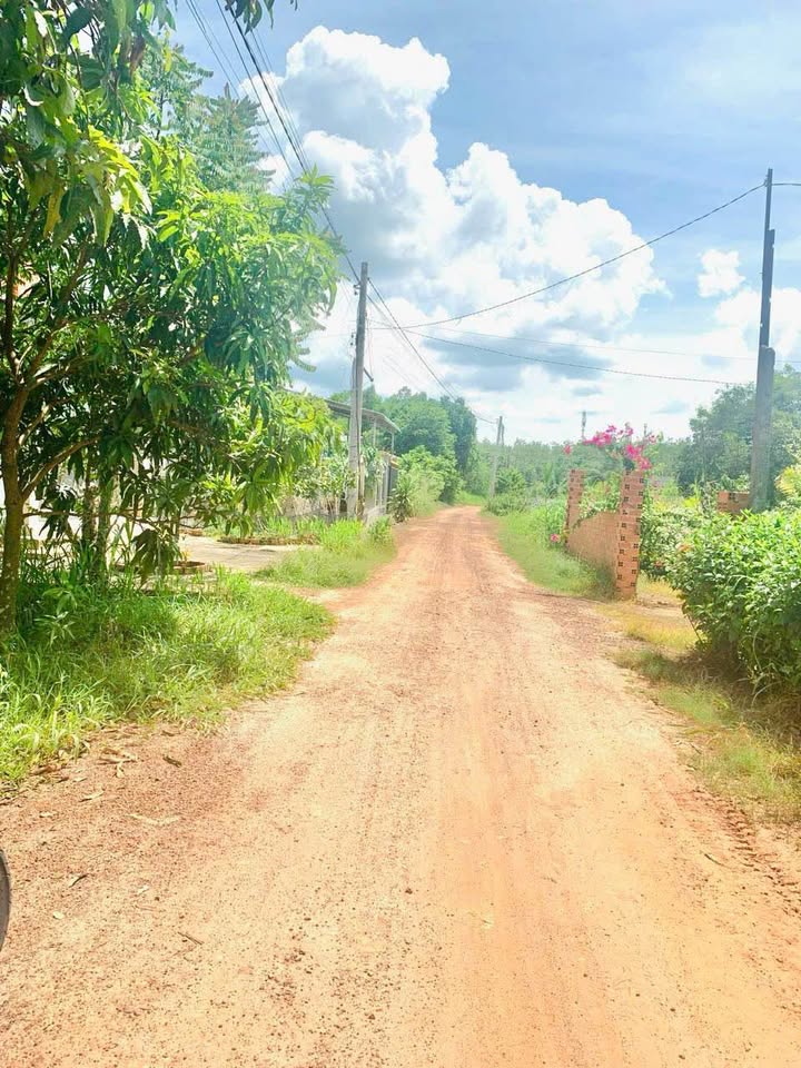 Đất nền Phường Bình Châu, Tây Ninh 140m² giá 200 triệu - Đầu tư sinh lời hấp dẫn!