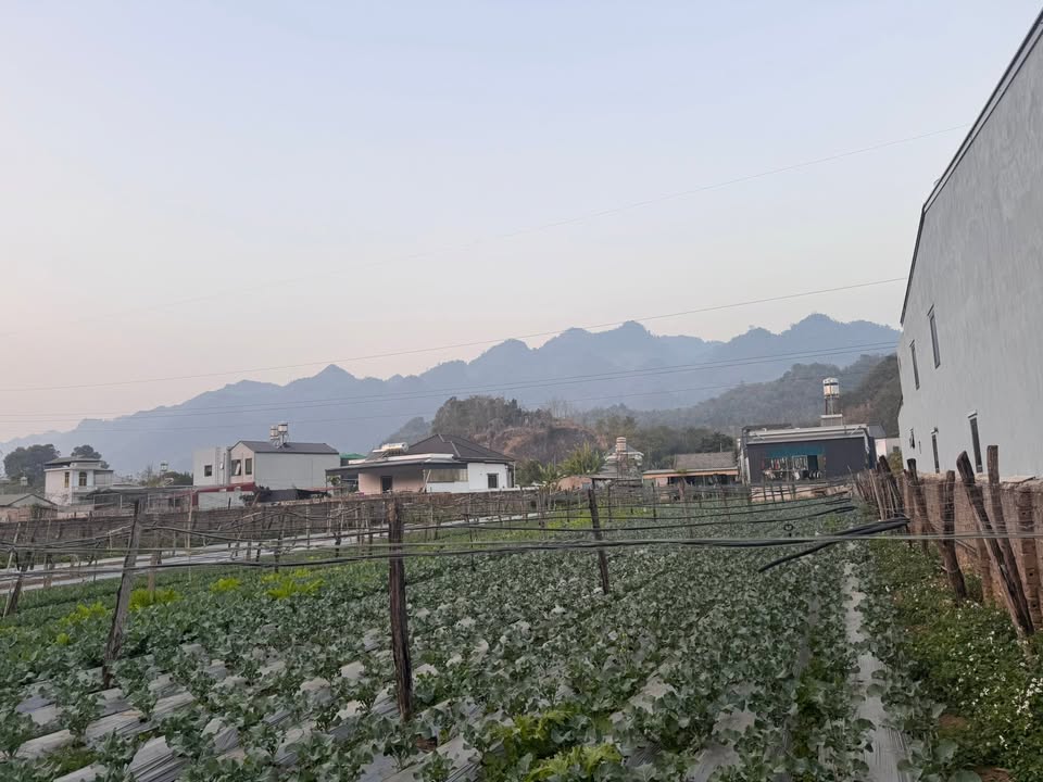 Đất nền 181m² tại TDP Tự Nhiên, Mộc Sơn chỉ 2 tỷ - Đường bê tông rộng, đông dân cư!