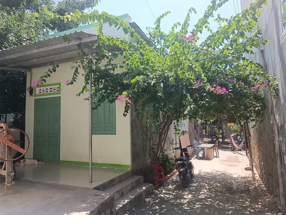 Nhà nguyên căn cho thuê tại Phan Rang-Tháp Chàm 50m² - Không gian thoáng mát, yên tĩnh!