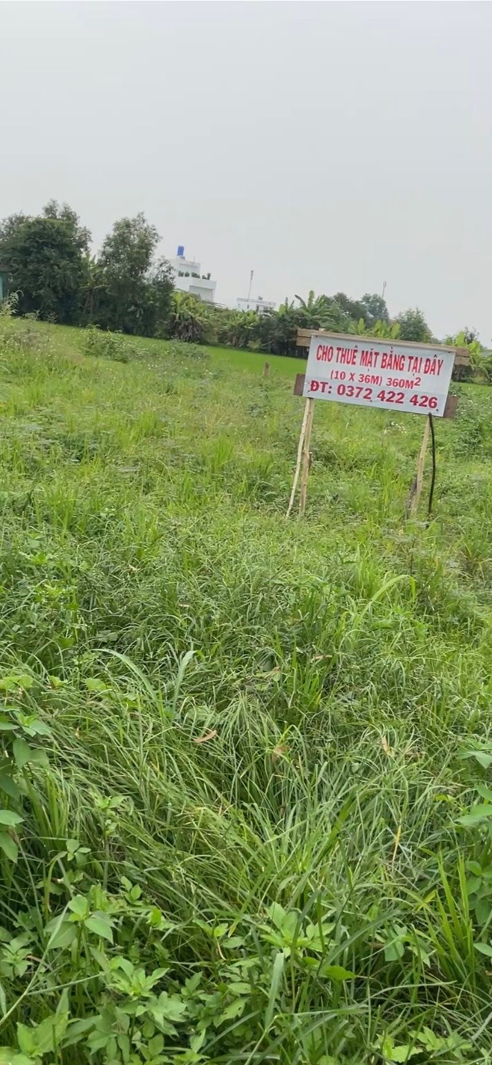 Cho thuê mặt bằng 360m² tại Ấp 2, Mỹ Yên, 9.9 triệu - Chính chủ, tiện ích đầy đủ!