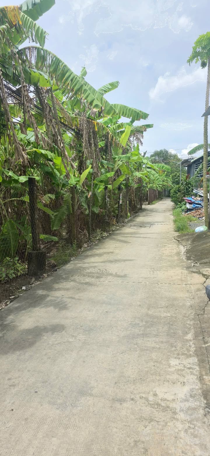 Nhà phố Phước Lý, Cần Giuộc, 68m² giá 1.4 tỷ - Nhà mới đẹp, vào ở ngay!