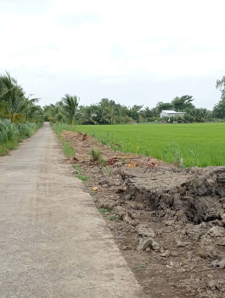 Bán đất thổ cư 225m² tại phường Mỹ Ngãi, Cao Lãnh - Giá chỉ 250 triệu!