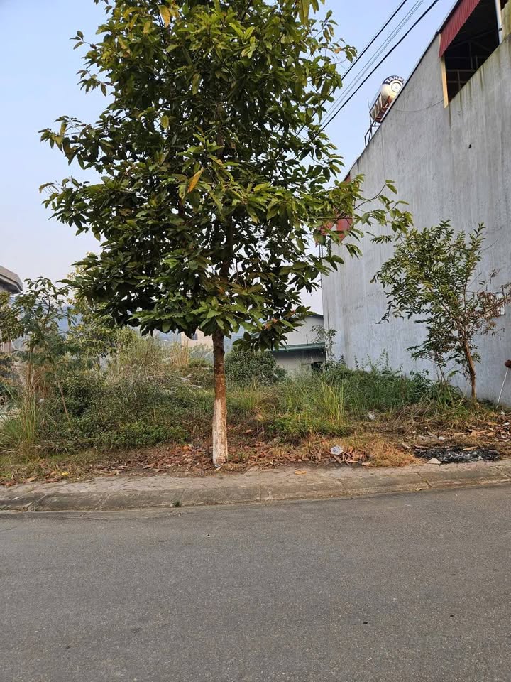 Đất nền 107m² tại Nguyễn Hữu An, Lào Cai - Lô góc 2 mặt tiền giá chỉ 2.2 tỷ!