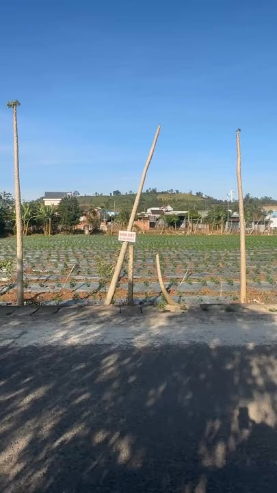 Lô đất Kông Chro 300m² giá 1.46 tỷ - View sông cực đẹp