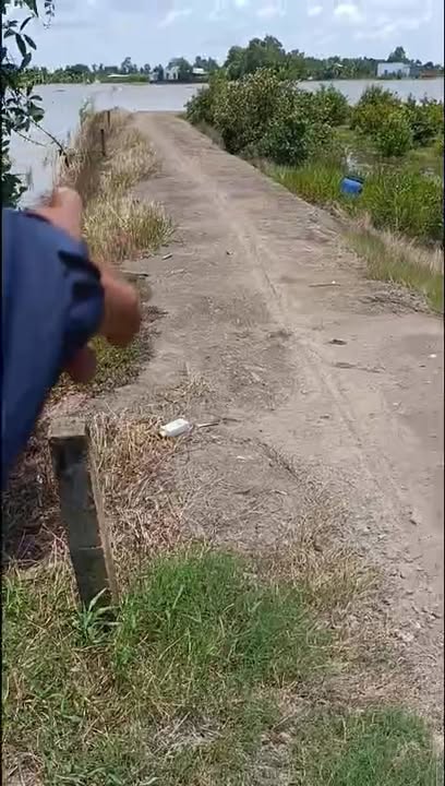 Đất lúa 8400m² xã Long Thuận, Huyện Thủ Thừa, Long An - Giá chỉ 3 tỷ!