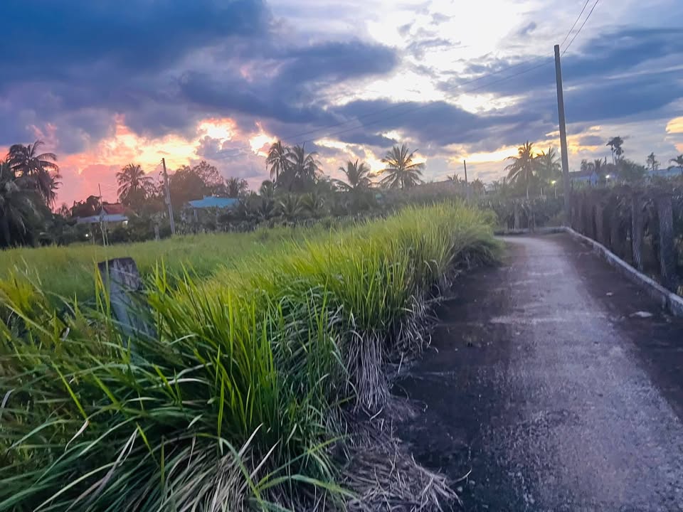 Đất nền 100m² tại Xuân Hòa, Tân An chỉ 690 triệu - Sổ đỏ chính chủ!